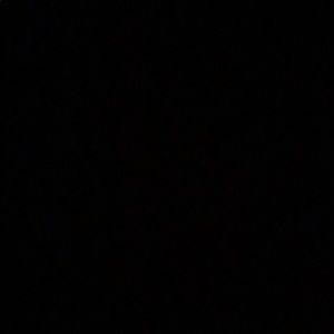 Meet your Posher, Carley